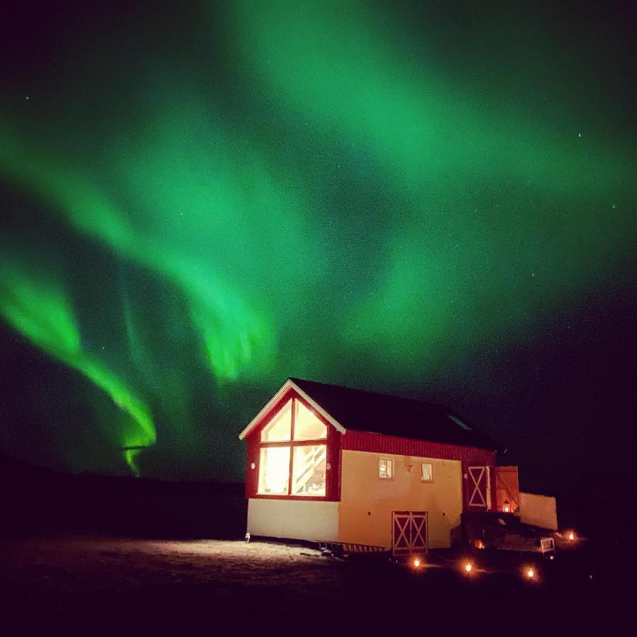 Unique Barnhouse In Amazing Gimsoy In Lofoten Saupstad  Экстерьер фото